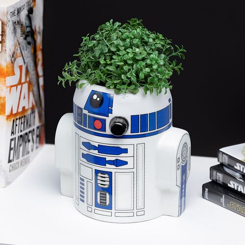 R2-D2 Pen and Plant Pot