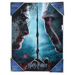 Poster de Vidrio Harry Potter y Voldemort