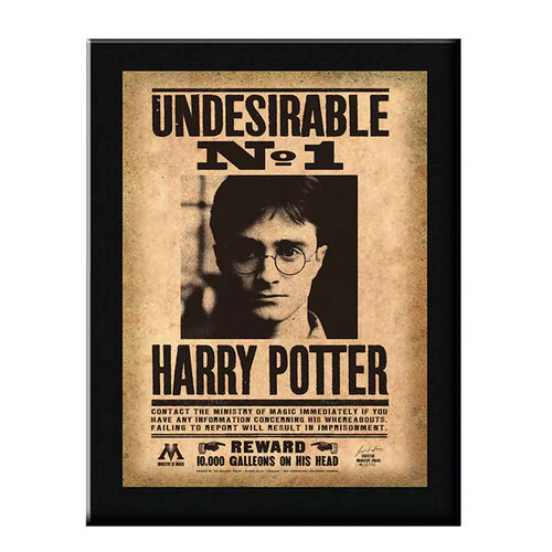 Réplica Cuadro Harry Potter Undesirable Nº1 30 x 21 cm