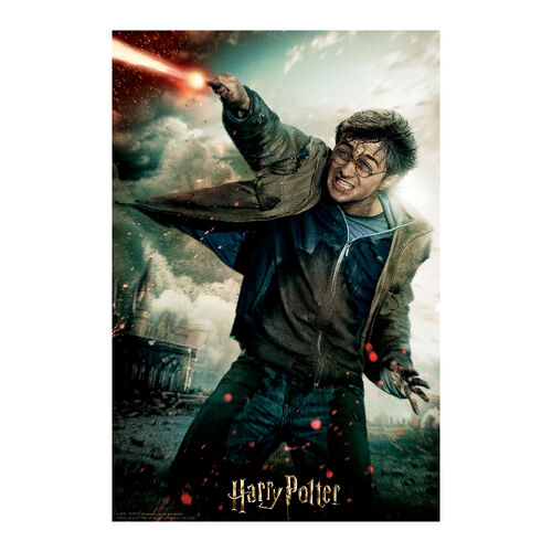 Puzzle lenticular Harry Potter Hedwig