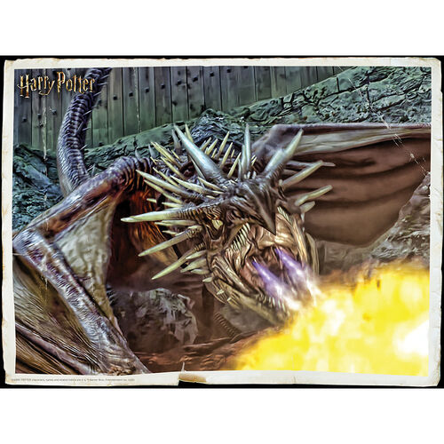 Puzzle lenticular Harry Potter DragÃ³n 300 piezas