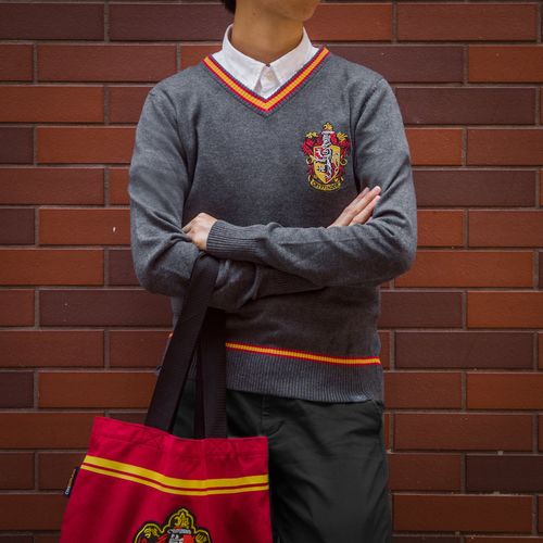 Jersey Harry Potter Gryffindor talla S