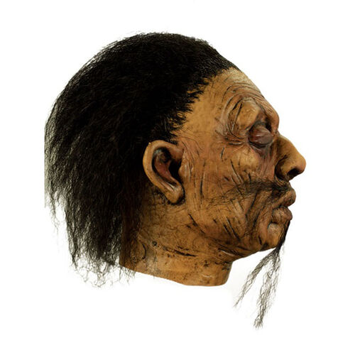 Shrunken Head Mask A - 1 One Size Only