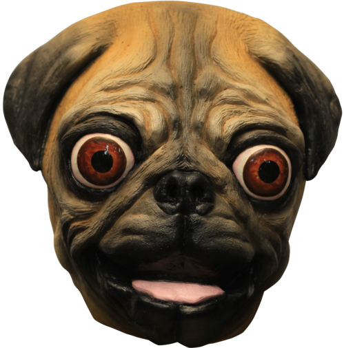 Pug