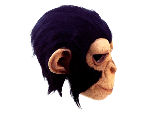 Chimp George