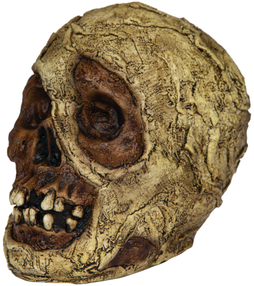 Mummy Skull