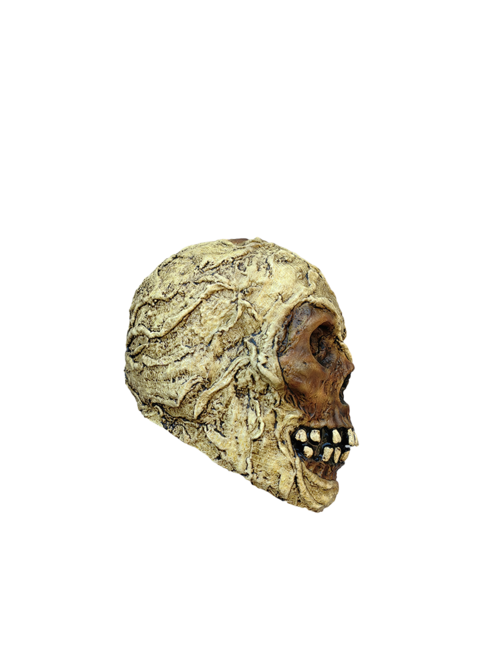 Mummy Skull