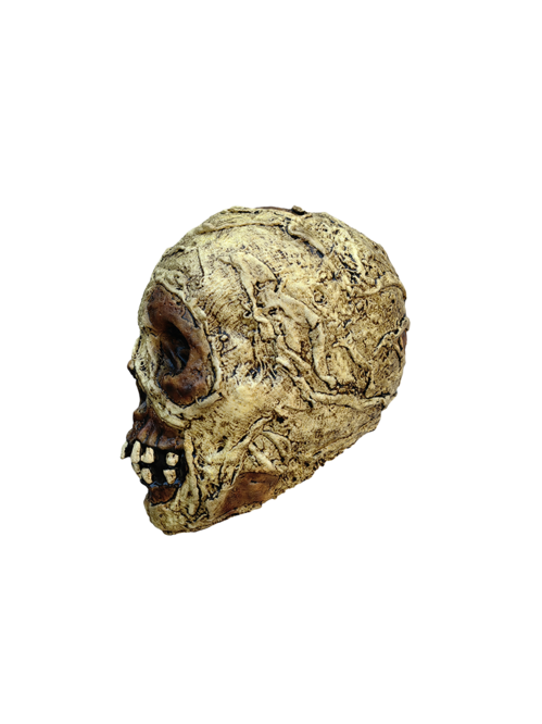 Mummy Skull